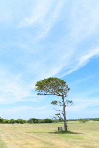 海中の空の写真