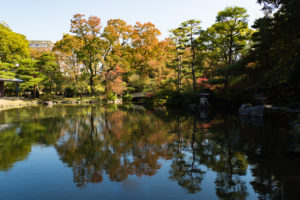 紅葉の写真