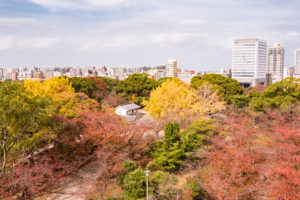 紅葉の写真
