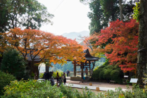 紅葉の写真