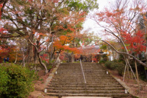 紅葉の写真
