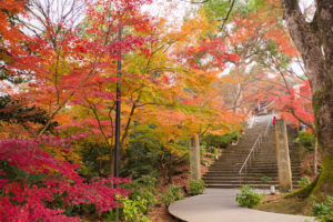 紅葉の写真