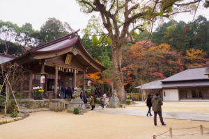 紅葉の写真
