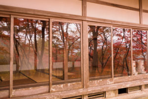 紅葉の写真