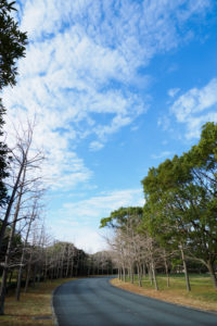 園内の風景写真