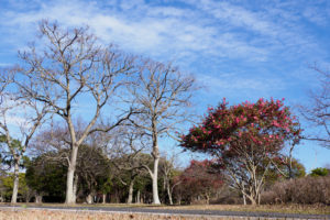 園内の風景写真