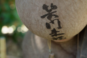 瓢箪の写真