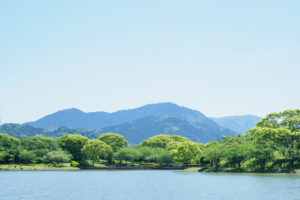 公園の写真