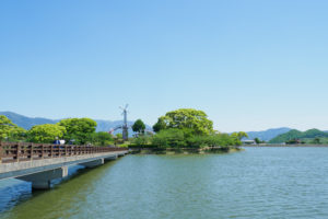 公園の写真
