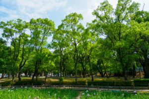 夜宮公園の写真