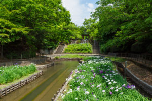夜宮公園の写真