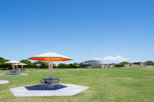 海の中道海浜公園の写真