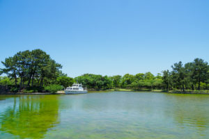 海の中道海浜公園の写真