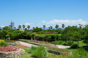 海の中道海浜公園の写真