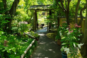 筥崎宮花庭園の写真