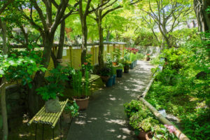 筥崎宮花庭園の写真