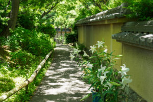 筥崎宮花庭園の写真