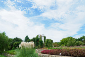 海の中道海浜公園の写真