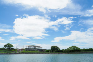 海の中道海浜公園の写真