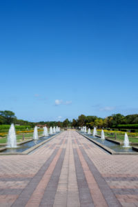 海の中道海浜公園の写真