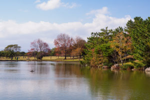 紅葉の写真