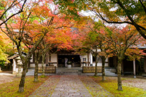 紅葉の写真