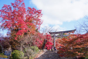 紅葉の写真
