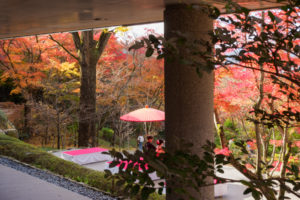 紅葉の写真