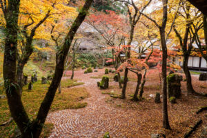 紅葉の写真