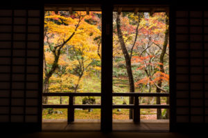紅葉の写真