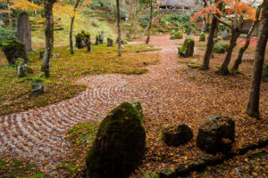 紅葉の写真