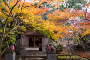 紅葉の写真