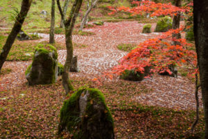 紅葉の写真