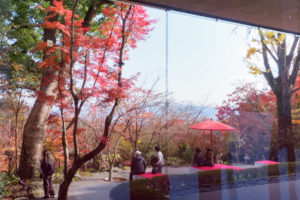 紅葉の写真