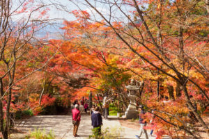 紅葉の写真