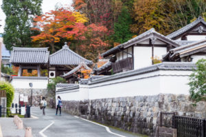 紅葉の写真