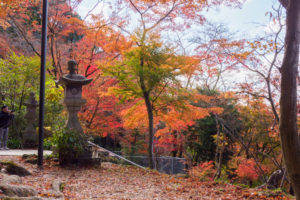 紅葉の写真