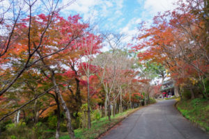 紅葉の写真