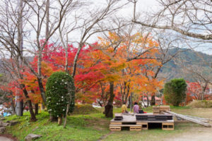 紅葉の写真