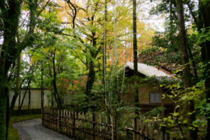 紅葉の写真