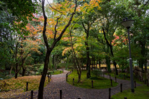 紅葉の写真