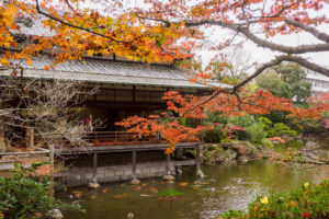 紅葉の写真