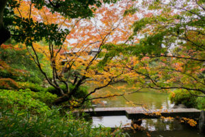 紅葉の写真