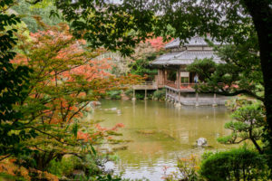 紅葉の写真