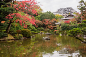 紅葉の写真