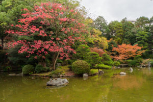 紅葉の写真