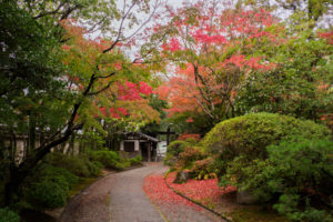 紅葉の写真