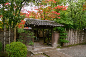 紅葉の写真