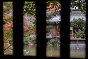 紅葉の写真