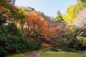 紅葉の写真